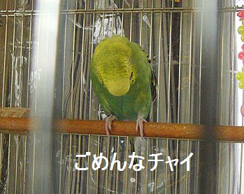 f0196665_01883.jpg