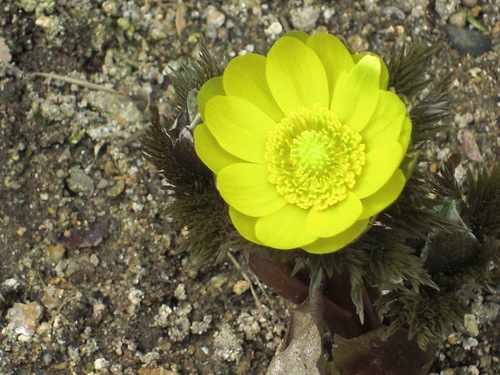 c0223879_17531197.jpg
