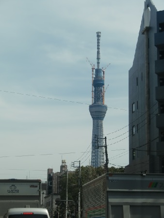 b0207284_351429.jpg