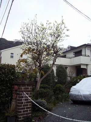 e0222588_16414282.jpg