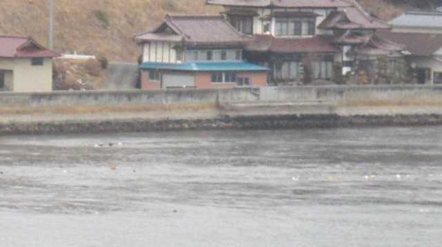 d0181492_0275237.jpg