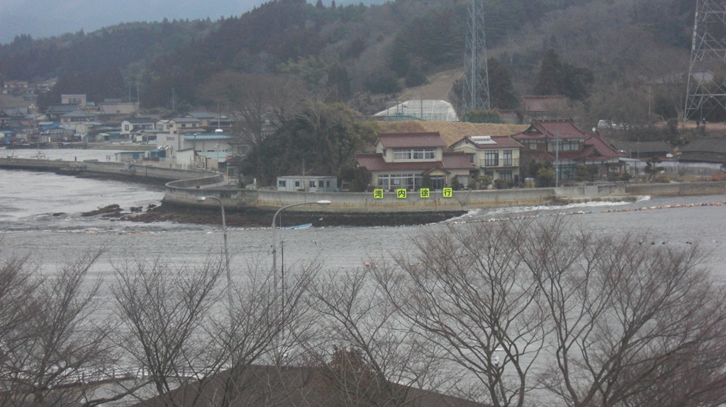 d0181492_029539.jpg