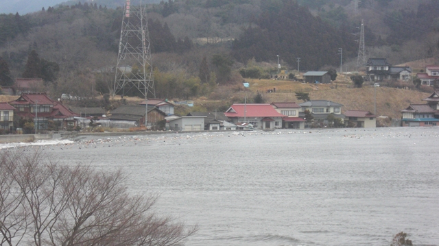 d0181492_0303998.jpg