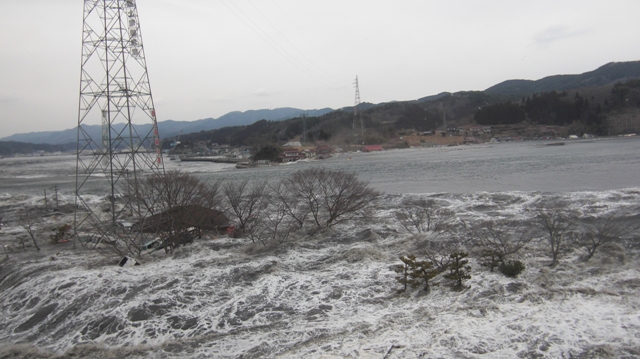 d0181492_034442.jpg