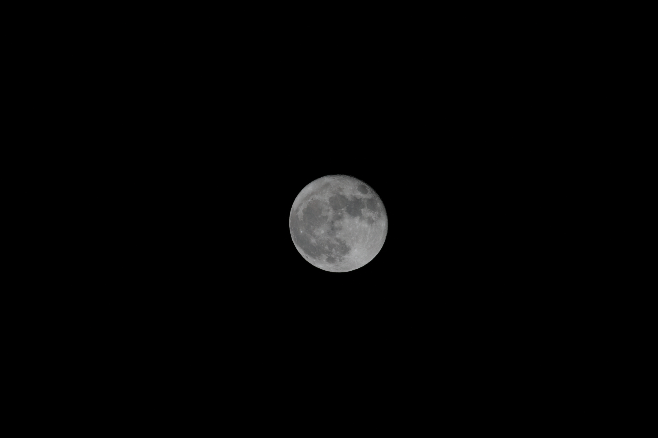 e0195693_122976.jpg