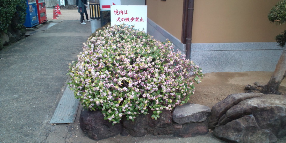 f0219810_21325459.jpg
