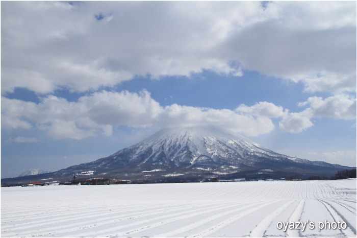 今日の羊蹄山_a0071514_1741611.jpg