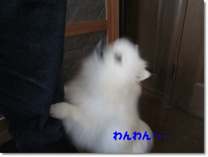 b0167519_8583870.gif