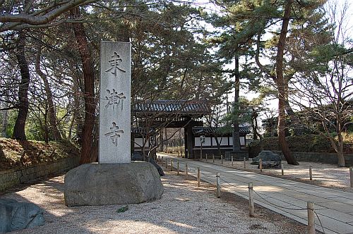 e0108126_1136967.jpg