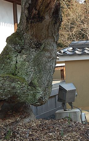 e0108126_11441831.jpg