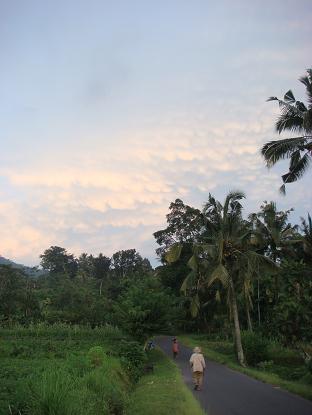 シドゥメン村 夕方 Pada sore hari di desa Sidemen _a0120328_13262091.jpg