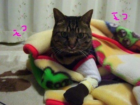 ぬくもりいろいろ_a0099131_23324233.jpg