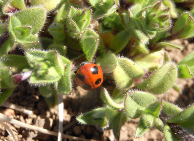 f0206939_21401657.jpg
