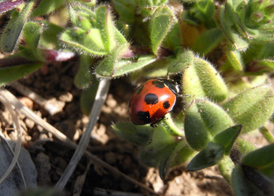 f0206939_21411825.jpg