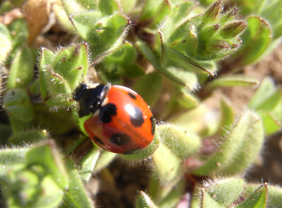 f0206939_21421618.jpg