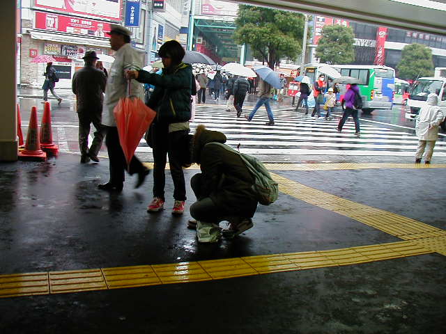 一日中冷たい雨です。_e0015250_21253283.jpg