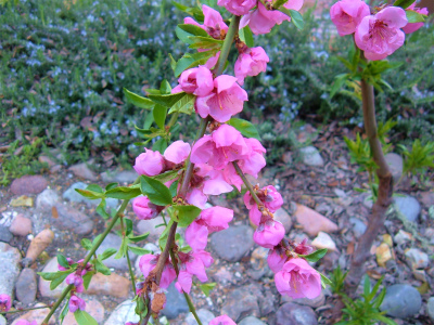 a0080368_8351211.jpg