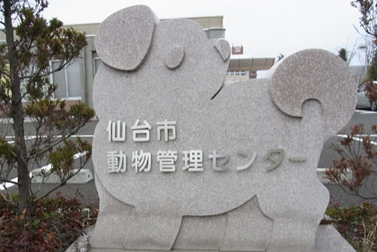 c0161772_1132562.jpg