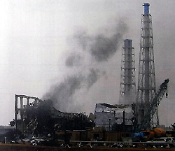 c0019880_15358.jpg