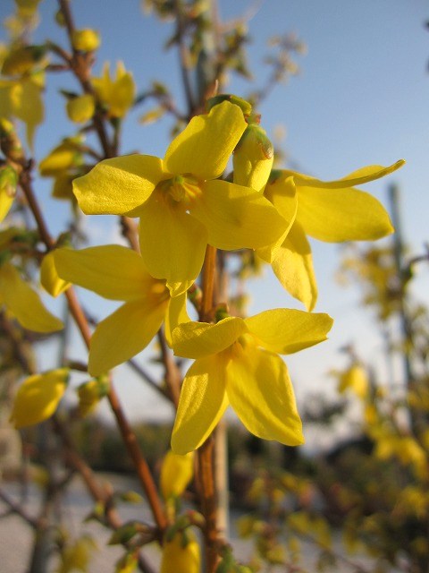 b0182884_22532164.jpg