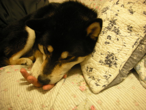 f0232785_15395799.jpg