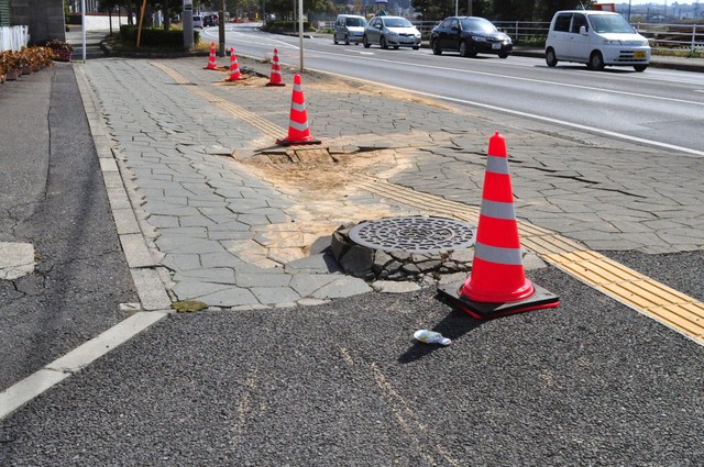 ホトケノザの音色_a0126590_48796.jpg