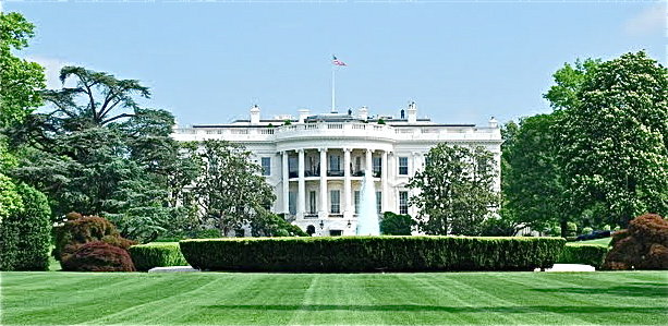 b0199097_2265023.jpg