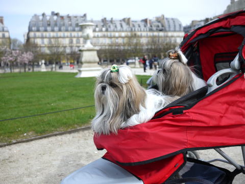 c0090198_6115215.jpg