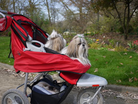 c0090198_6211627.jpg