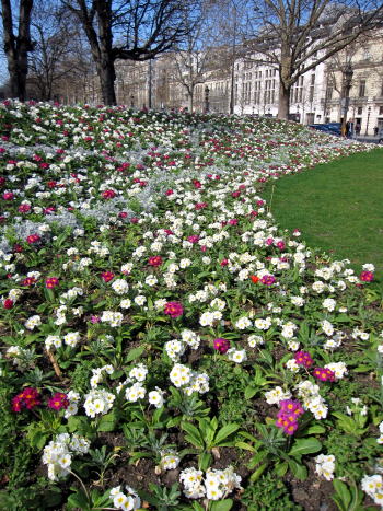 c0090198_6255674.jpg