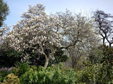 c0090198_625739.jpg