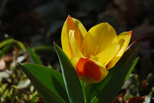 c0124100_233365.jpg