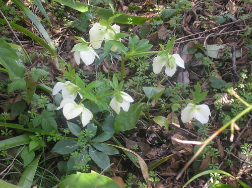 c0156104_23383425.jpg