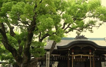 生駒に行こか_e0164111_13585116.jpg