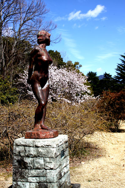 京の花だより 植物園1_e0048413_20355923.jpg