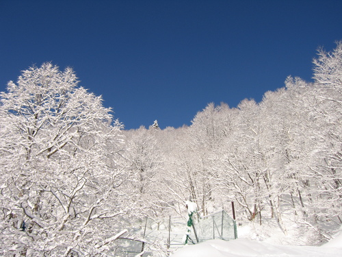 b0093515_730667.jpg