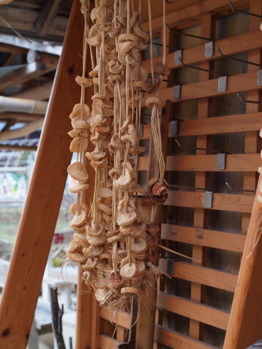 みんなの元気な店_c0116915_2343229.jpg