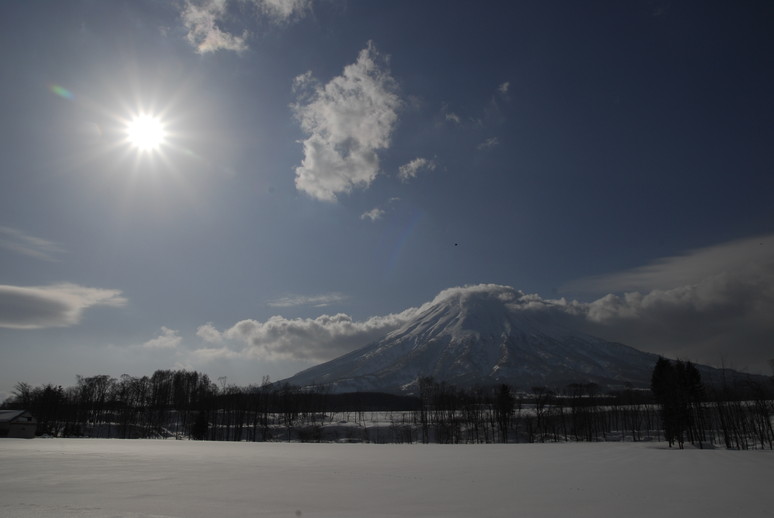 2011年3月　春の訪れ_c0219616_10312941.jpg