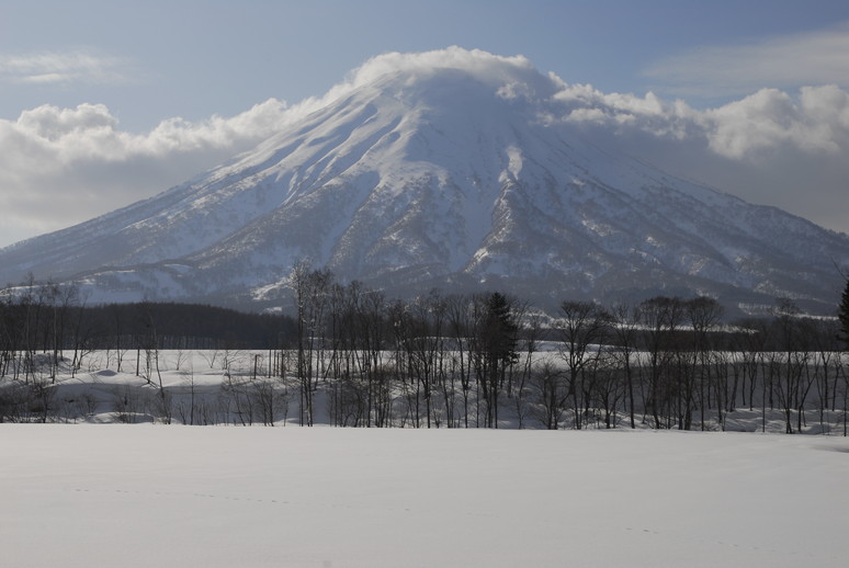 2011年3月　春の訪れ_c0219616_10315351.jpg