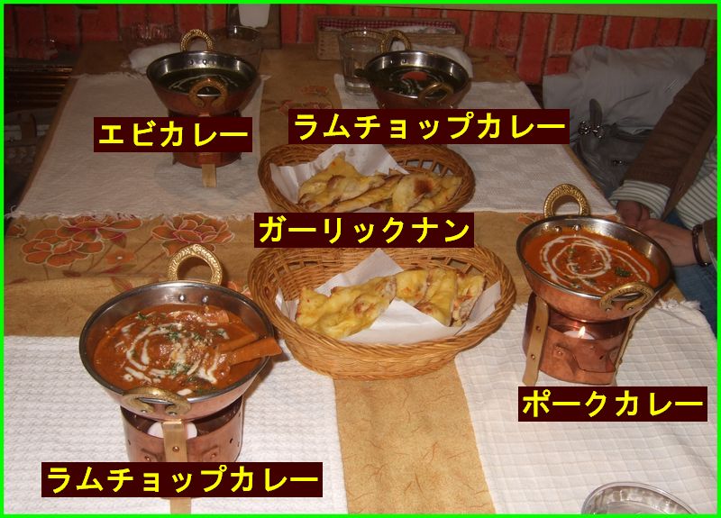 ＰＡＲＫＡＳＨ のカレー_c0004734_2292233.jpg