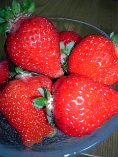 c0036138_2131263.jpg