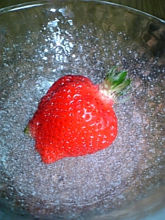 c0036138_21395565.jpg