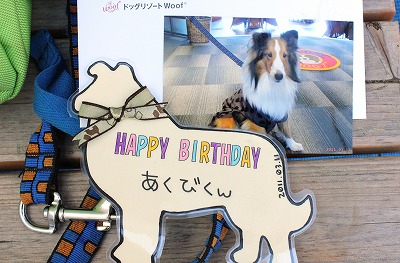 2才のお誕生日3/11の一日_e0195743_15125239.jpg