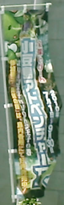 e0033751_13461246.jpg