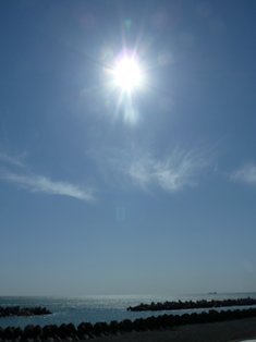 d0117954_9312545.jpg