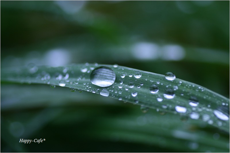 RainDrops　～悲しみの涙と感動の涙～_a0167759_22291067.jpg