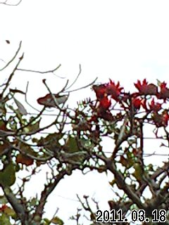 b0204566_20585168.jpg