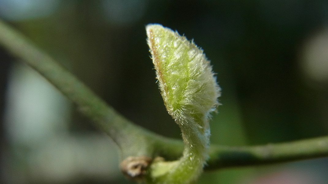 a0152692_20285852.jpg
