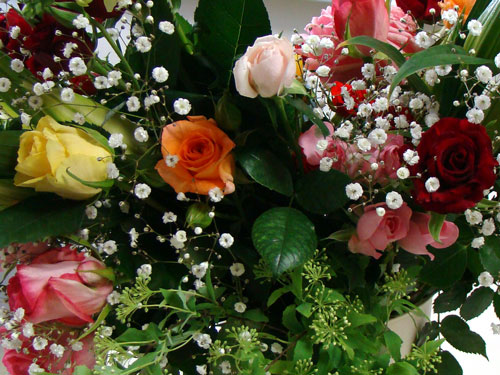 a0047200_92567.jpg