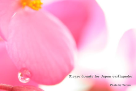 * Please Donate For Japan Earthquake * _c0083904_164052.jpg